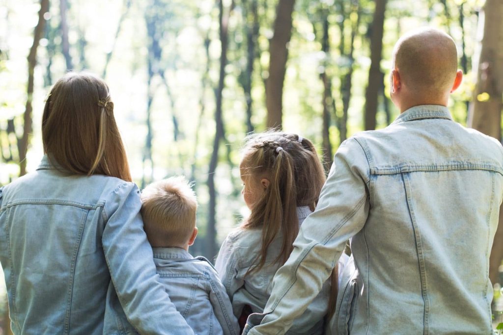 Family Counselling and Therapy 1 Family Counselling and Therapy 1 |